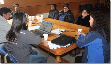 FOTO medicina mapuche