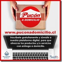 Pucón a domicilio